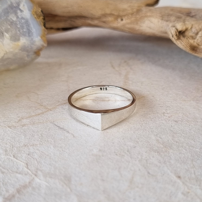 Silver ring on a textured stone surface with natural elements in the background